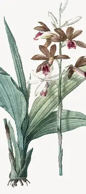 Estores de rolo para porta de varanda Flor