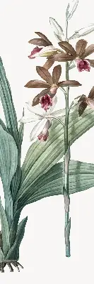 Estores de rolo para porta de varanda Flor