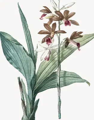 Estores de rolo para porta de varanda Flor