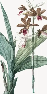 Estores de rolo para porta de varanda Flor
