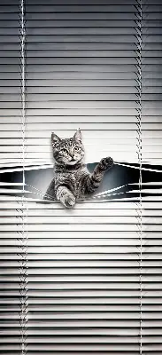 Estores de rolo interiores Gato