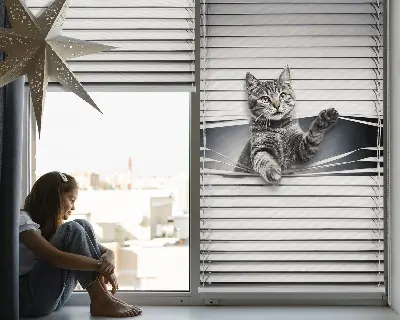Estores de rolo interiores Gato