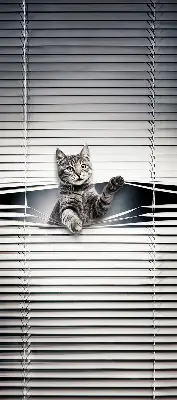 Estores de rolo interiores Gato