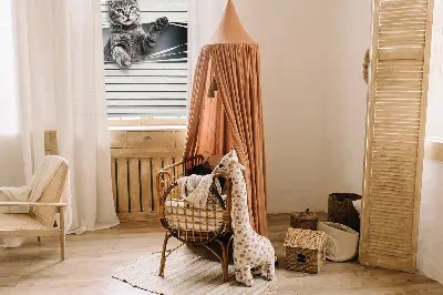 Estores de rolo interiores Gato