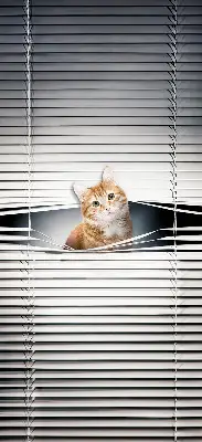Estores de rolo para porta de varanda Gato ruivo