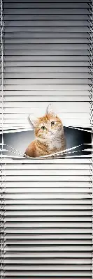 Estores de rolo para porta de varanda Gato ruivo