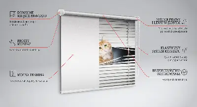 Estores de rolo para porta de varanda Gato ruivo