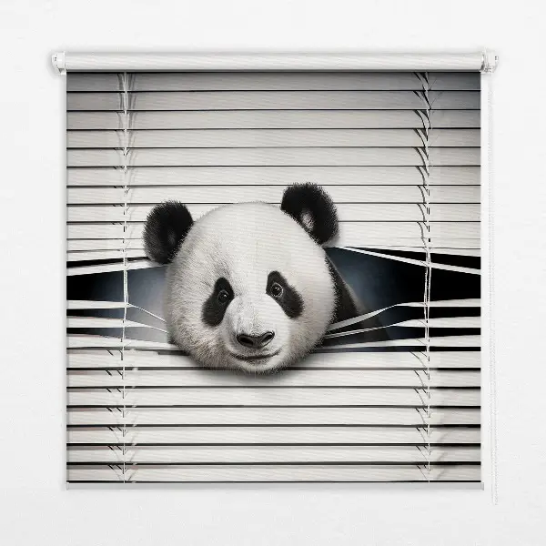 Estores de rolo interiores para janela Panda