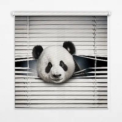 Estores de rolo interiores para janela Panda