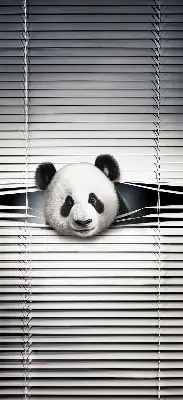 Estores de rolo interiores para janela Panda