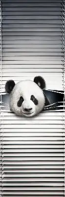 Estores de rolo interiores para janela Panda