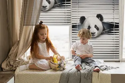 Estores de rolo interiores para janela Panda