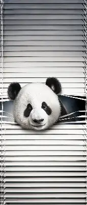 Estores de rolo interiores para janela Panda