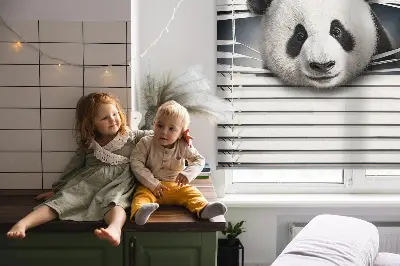 Estores de rolo interiores para janela Panda