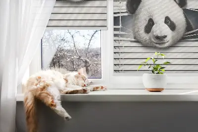 Estores de rolo interiores para janela Panda