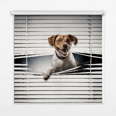 Estores de rolo em tecido Cachorro