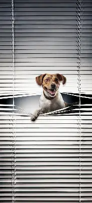 Estores de rolo em tecido Cachorro
