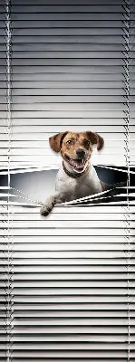 Estores de rolo em tecido Cachorro