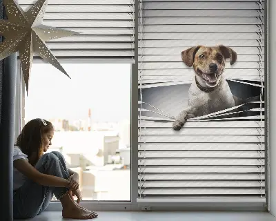 Estores de rolo em tecido Cachorro