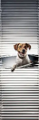 Estores de rolo em tecido Cachorro