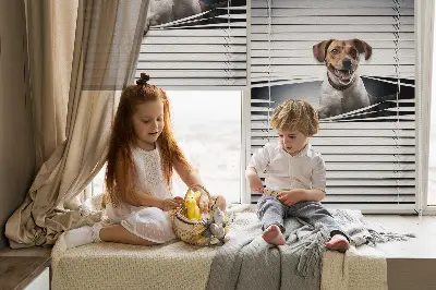 Estores de rolo em tecido Cachorro