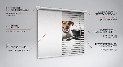 Estores de rolo em tecido Cachorro