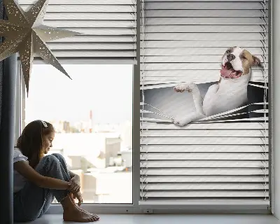 Estores de rolo para janela Cachorro