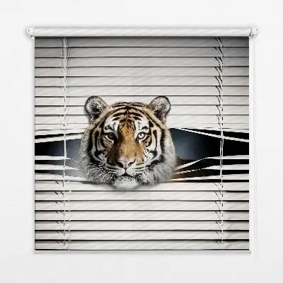 Estores de rolo para porta de varanda Tigre