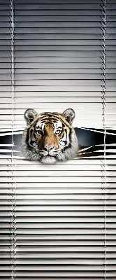 Estores de rolo para porta de varanda Tigre
