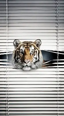 Estores de rolo para porta de varanda Tigre