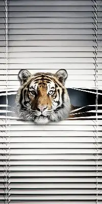 Estores de rolo para porta de varanda Tigre
