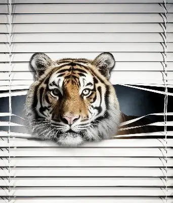 Estores de rolo para porta de varanda Tigre