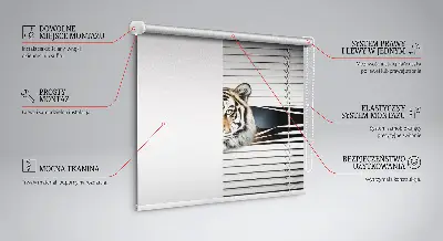 Estores de rolo para porta de varanda Tigre