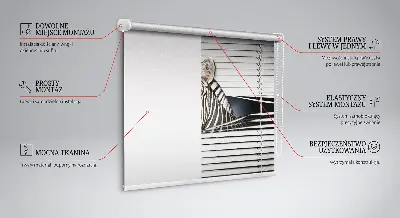 Estores de rolo interiores para janela Costelas