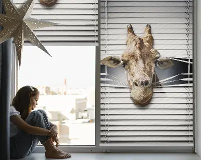Estores de rolo interiores para janela Girafa