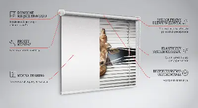 Estores de rolo interiores para janela Girafa