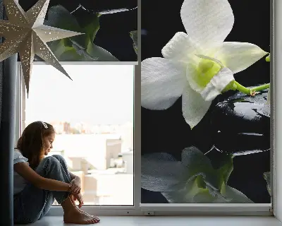 Estores de rolo interiores blackout Orquídeas e elegância