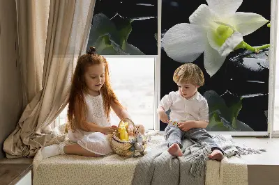 Estores de rolo interiores blackout Orquídeas e elegância
