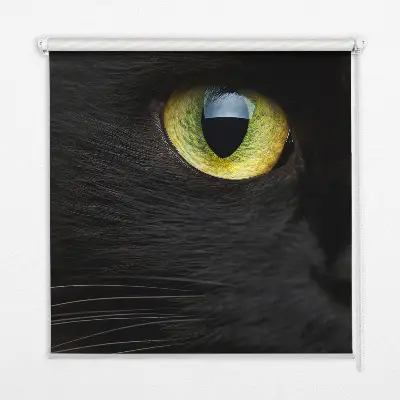 Estores de rolo interiores blackout para janela Olhos de gato