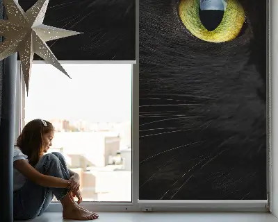 Estores de rolo interiores blackout para janela Olhos de gato