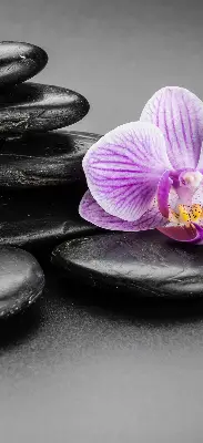 Estores de rolo interiores blackout Orquídea sobre as pedras