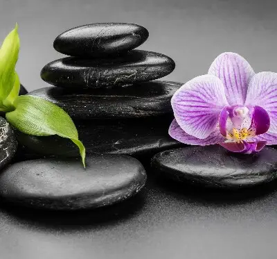 Estores de rolo interiores blackout Orquídea sobre as pedras