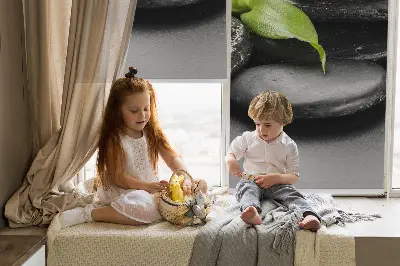Estores de rolo interiores blackout Orquídea sobre as pedras