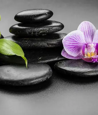 Estores de rolo interiores blackout Orquídea sobre as pedras