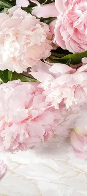 Estores de rolo blackout para porta de varanda Flores