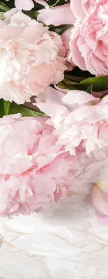Estores de rolo blackout para porta de varanda Flores