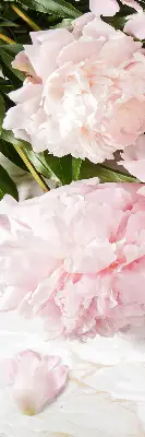 Estores de rolo blackout para porta de varanda Flores