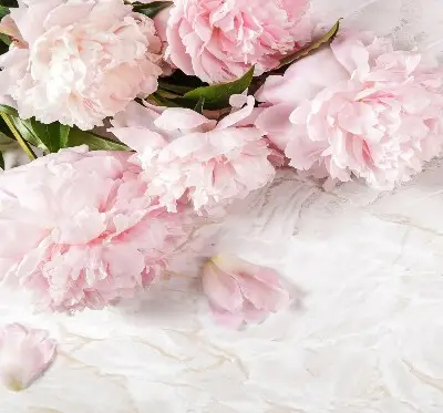 Estores de rolo blackout para porta de varanda Flores