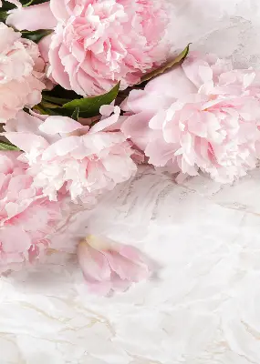 Estores de rolo blackout para porta de varanda Flores