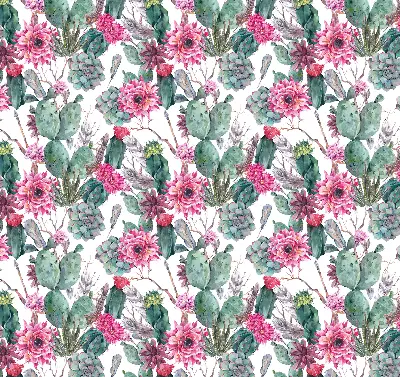 Estores de rolo interiores blackout Flor de cacto